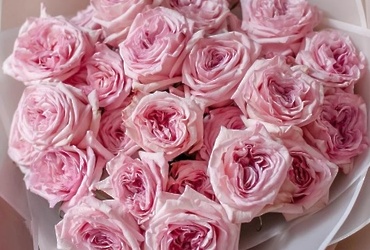 Поздравляем с днем рождения Щербакову Ольгу Викторовну, начальника отдела по ЖКХ, благоустройству, транспорту и связи администрации м.о. Лотошино