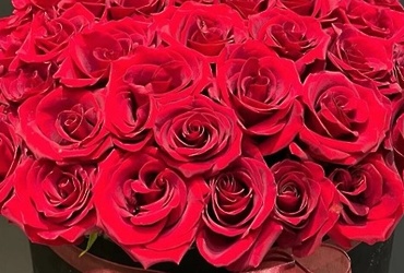 Поздравляем с днем рождения Ильину Ирину Владимировну, ведущего бухгалтера МУ «ЦБМУ м.о. Лотошино»