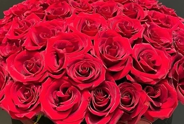 Поздравляем с днем рождения Устинову Юлию Анатольевну, главного специалиста юридического отдела администрации м.о. Лотошино