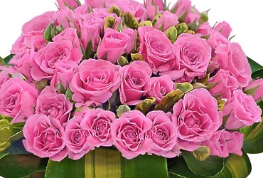 Поздравляем с днем рождения Башаро Веру Александровну,  старшего инспектора отдела по образованию администрации м.о. Лотошино