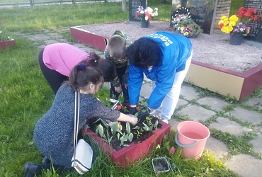 Экологическая акция «Посади цветы у памятника» прошла в д. Доры
