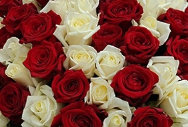 Поздравляем с юбилеем Антонову Светлану Владимировну, заместителя начальника Окружного Управления социального развития №18 Министерства социального развития МО