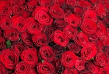 Поздравляем с днем рождения Усанову Марию Евгеньевну, заведующую сектором — главного бухгалтера сектора учета и отчетности КУИ администрации м.о. Лотошино