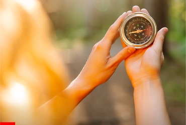 Даже в знакомом лесу можно легко сбиться с пути