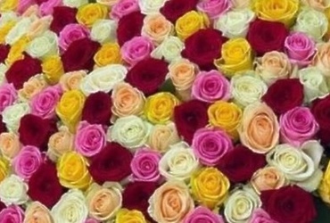 Поздравляем с юбилеем Казнадей Наталью Викторовну, инспектора военно‑учетного стола