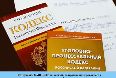 Сотрудники ОМВД «Лотошинский» задержали подозреваемого в незаконной вырубке деревьев
