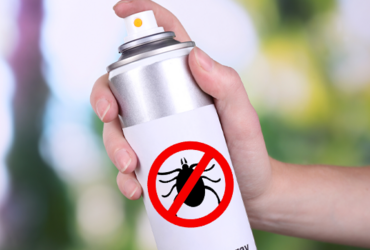 Средства от клещей – какими они бывают?