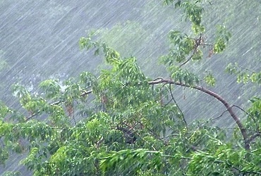 В ближайший час с сохранением до конца суток 24 июля местами на территории Московской области ожидаются ливневые дожди