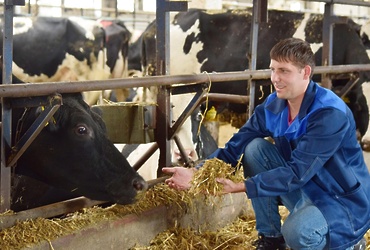 Фермеры смогут пройти онлайн‑обучение по продаже продукции через интернет