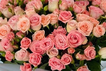 Поздравляем с днем рождения Барабанову Галину Юрьевну, Начальника отдела архитектуры и градостроительства  администрации  м.о.Лотошино