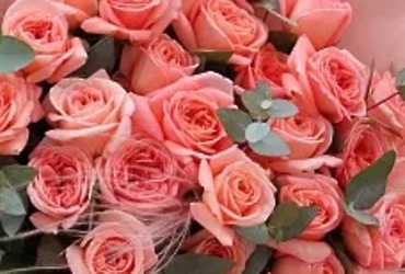 Поздравляем с днем рождения Кашину Елену Геннадьевну, Начальника сектора  финансового  контроля ФЭУ