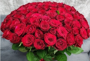 Поздравляем с днем рождения Сапронову Веру Дмитриевну, ведущего бухгалтера МУ «ЦБМУ»