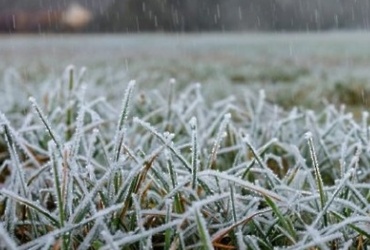 В период с 13 по 15 сентября ночью и утром в отдельных районах Московской области ожидаются заморозки -2…0°С