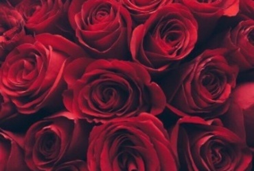 Поздравляем с юбилеем Миронову Галину Александровну, главного эксперта сектора учета и отчетности КУИ  администрации м.о. Лотошино