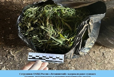 Сотрудники ОМВД России «Лотошинский» задержали ранее судимого мужчину, подозреваемого в хранении наркотических средств