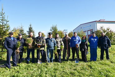 Акция «День в лесу. Сохраним лес вместе» прошла в муниципальном округе Лотошино