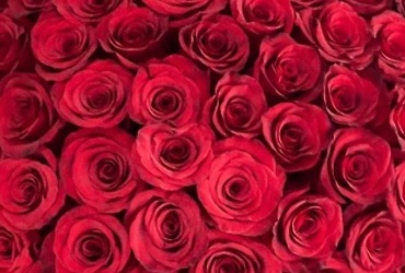 Поздравляем с днем рождения Голубеву Марину Константиновну, главного эксперта отдела организации бюджетного процесса  ФЭУ