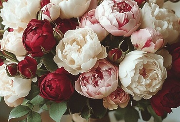 Поздравляем с днем рождения Ирину Альбертовну Крючкову, главного эксперта сектора организации бюджетного процесса ФЭУ администрации муниципального округа Лотошино