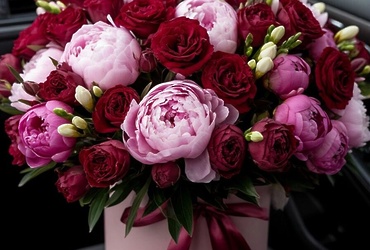 Поздравляем с днем рождения депутата Совета депутатов м.о. Лотошино Калинину Ольгу Викторовну