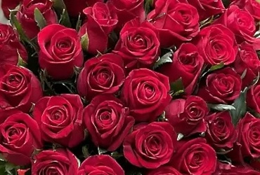 Поздравляем с днем рождения Самошкину Веру Александровну, главного эксперта отдела исполнения бюджета муниципального округа ФЭУ