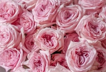 Поздравляем с днем рождения Бокову Марию Александровну, ведущего бухгалтера МУ «ЦБМУ»