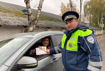 Сотрудниками Госавтоинспекции  проведен рейд «Детское кресло»