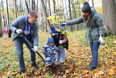 Аллея отцов в Лотошинском парке пополнилась новыми деревьями