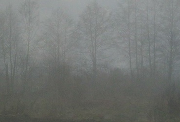 В период с 21:00 22 октября до 12:00 23 октября местами на территории Московской области ожидается туман