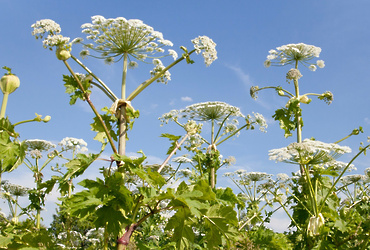 22 октября в здании администрации округа состоялось заседание административной комиссии под председательством заместителя главы муниципального округа