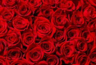 Поздравляем с днем рождения Гудкову Ирину Владимировну, главного экономиста МУ «ЦБМУ»