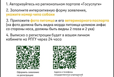 Зарегистрируйте своего питомца