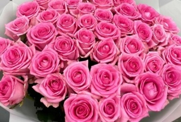 Поздравляем с днем рождения Давыдову Елену Андреевну, ведущего бухгалтера МУ ЦБМУ м.о. Лотошино»