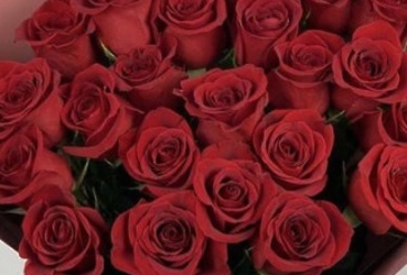 Поздравляем с днем рождения Дорохову Карину Андреевну, главного эксперта отдела по образованию администрации м.о. Лотошино