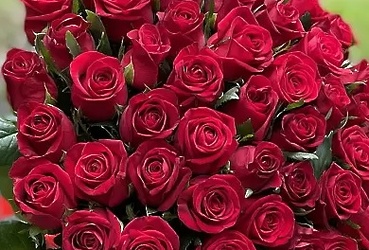 Поздравляем с днем рождения Становову Наталью Владимировну, главного эксперта отдела исполнения бюджета муниципального округа ФЭУ