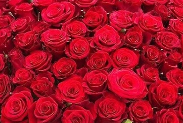 Поздравляем с днем рождения Голиченкову Наталью Юрьевну, главного специалиста отдела по образованию