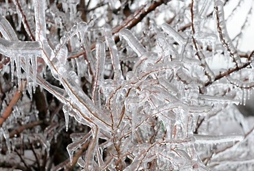 На территории Московской области ожидается дождь, переходящий в снег