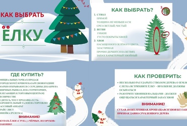 Как выбрать ёлку