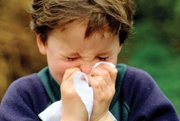 ВОЗБУДИТЕЛИ ОСТРЫХ РЕСПИРАТОРНЫХ ИНФЕКЦИЙ