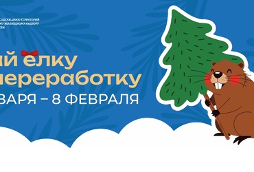 Сдай ёлку на переработку