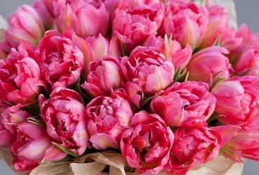 Поздравляем с днем рождения Вихареву Маргариту Сергеевну, главного эксперта отдела архитектуры и градостроительства администрации м.о. Лотошино